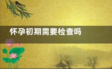 怀孕初期需要检查吗 怀孕初期的注意事项有哪些,怀孕初期需要检查孕酮值吗